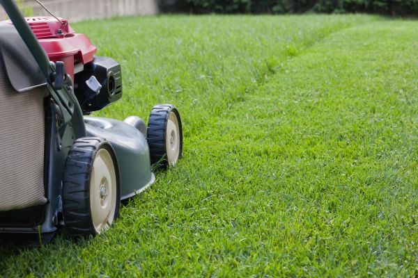 Outdoor Area Maintenance