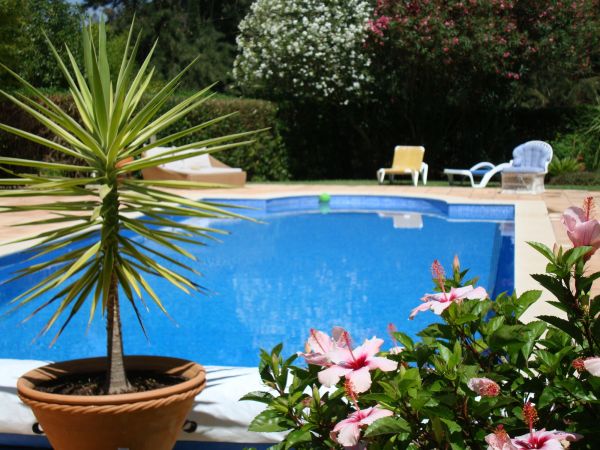 Cost of Pool Terrace Renovation in Marco Island